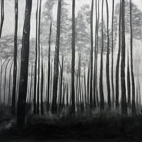 Art museum begins 2026 with Applegate show | Heraldrepublican ...