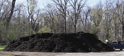 Mulch Pile