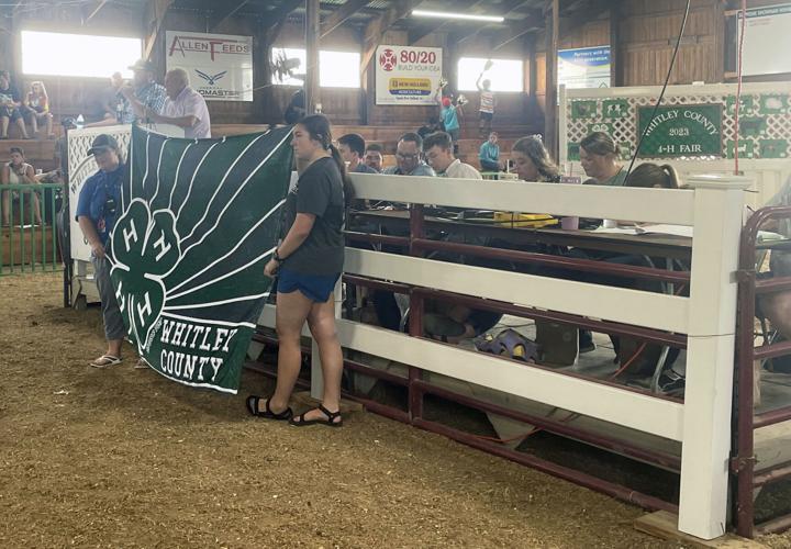 Annual 4H auction an end of an era for some News