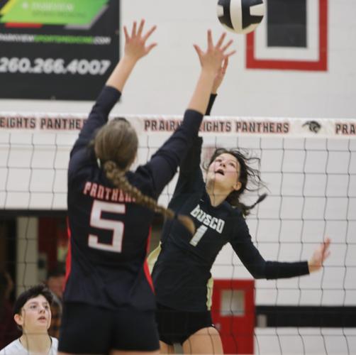 Churubusco spikers win first sectional title Newsletter