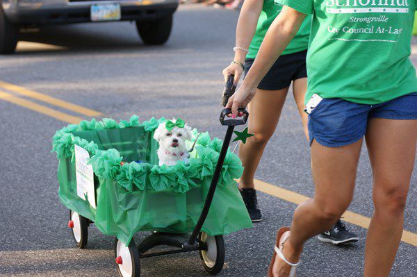 WIN Dog Carts