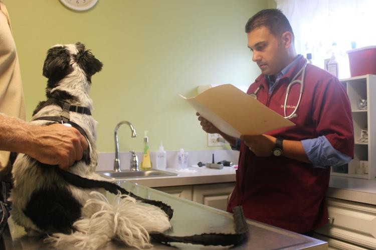 Animal hospital still has 'Hart' | North Royalton 