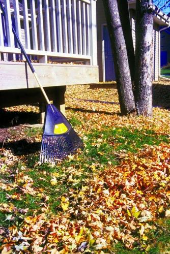 City could save a bundle if residents switched clear leaf bags to