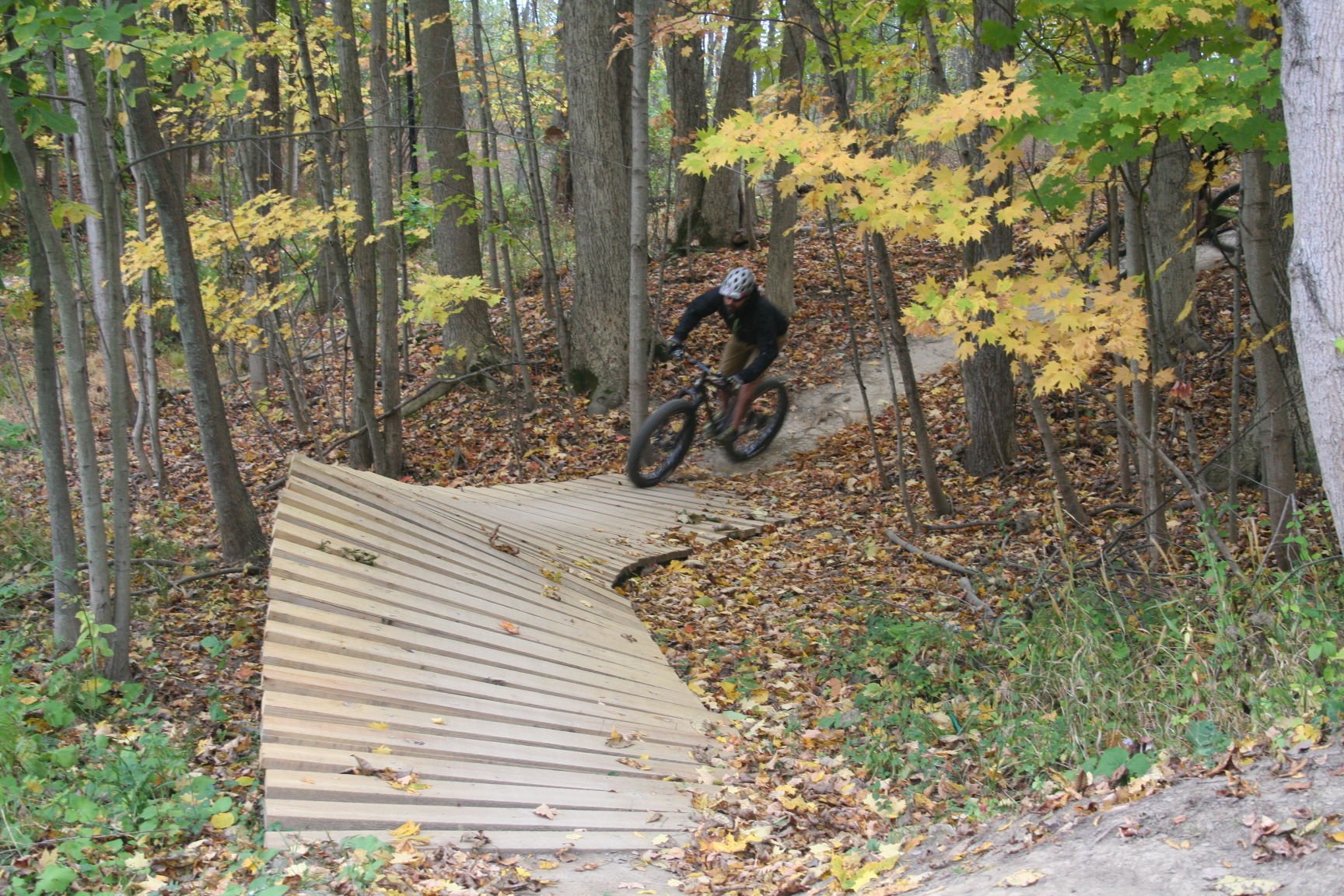 mountain bike wooden features