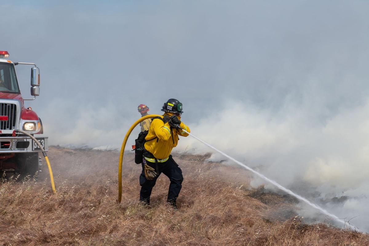 Byron vegetation fire
