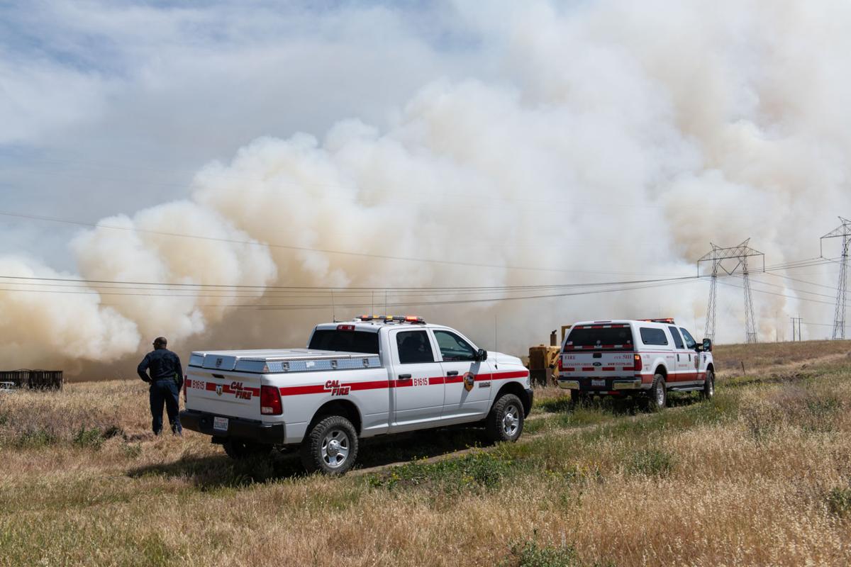 Byron vegetation fire