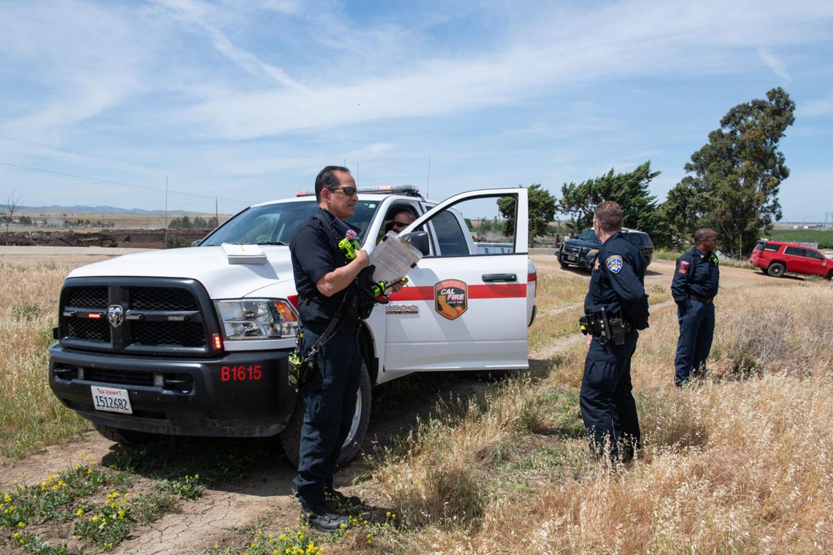 Byron vegetation fire