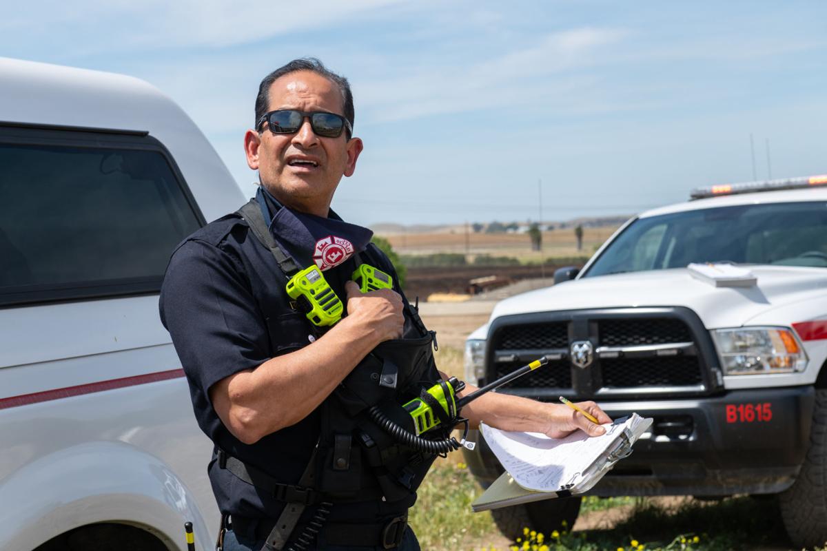 Byron vegetation fire