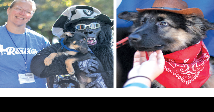 Ruff Day Rescue to host second annual Pawstoberfest fundraiser to benefit shelter dogs | Features