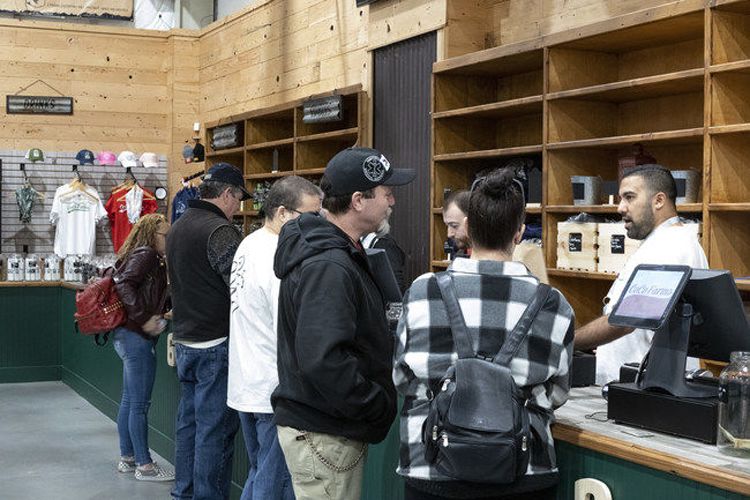 CoCo Farms cannabis dispensary opens in Antioch | News 