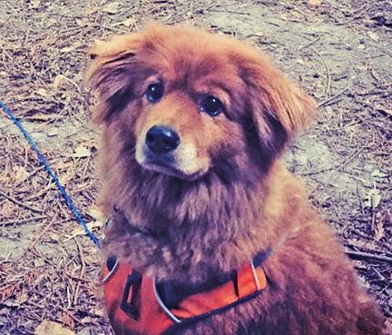 Rusty, October 19, 2018