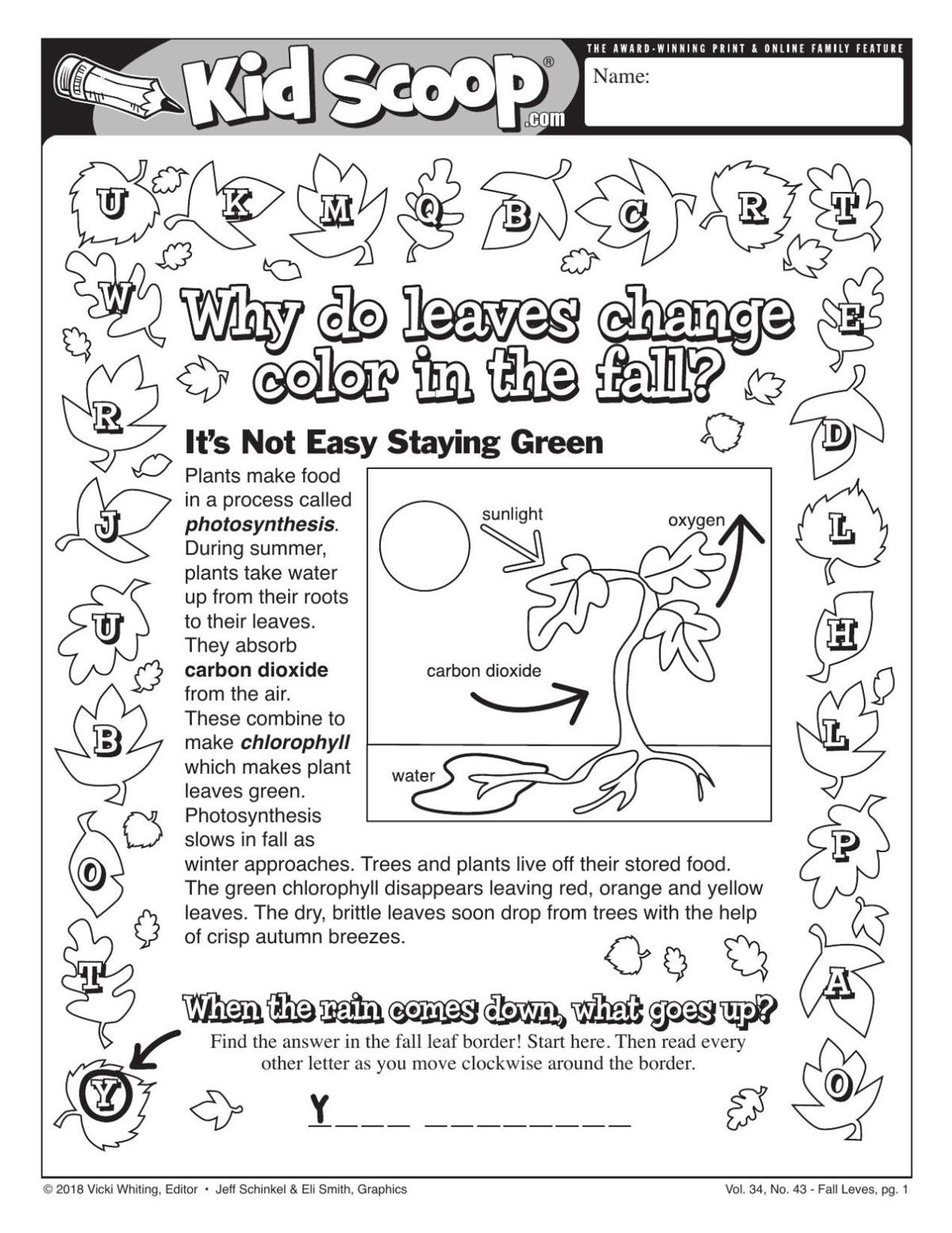 View 10 Why Do Leaves Change Color Worksheet Wallpaper - Small Letter