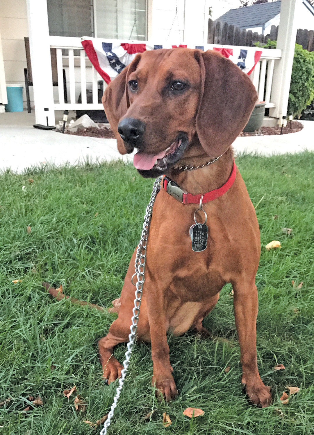 Nelli Mae, April 19, 2019