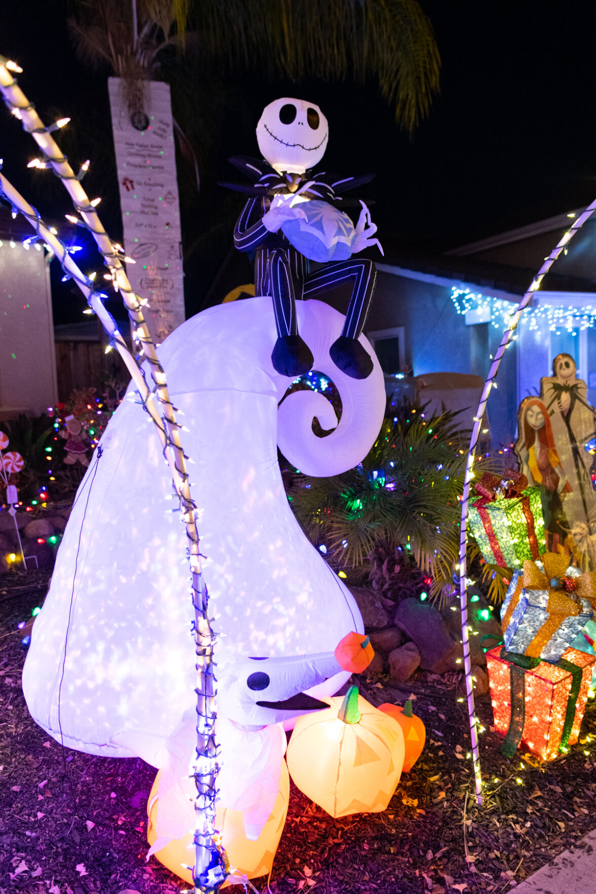 [Photos] Tunnels of Joy Christmas lights Slideshows