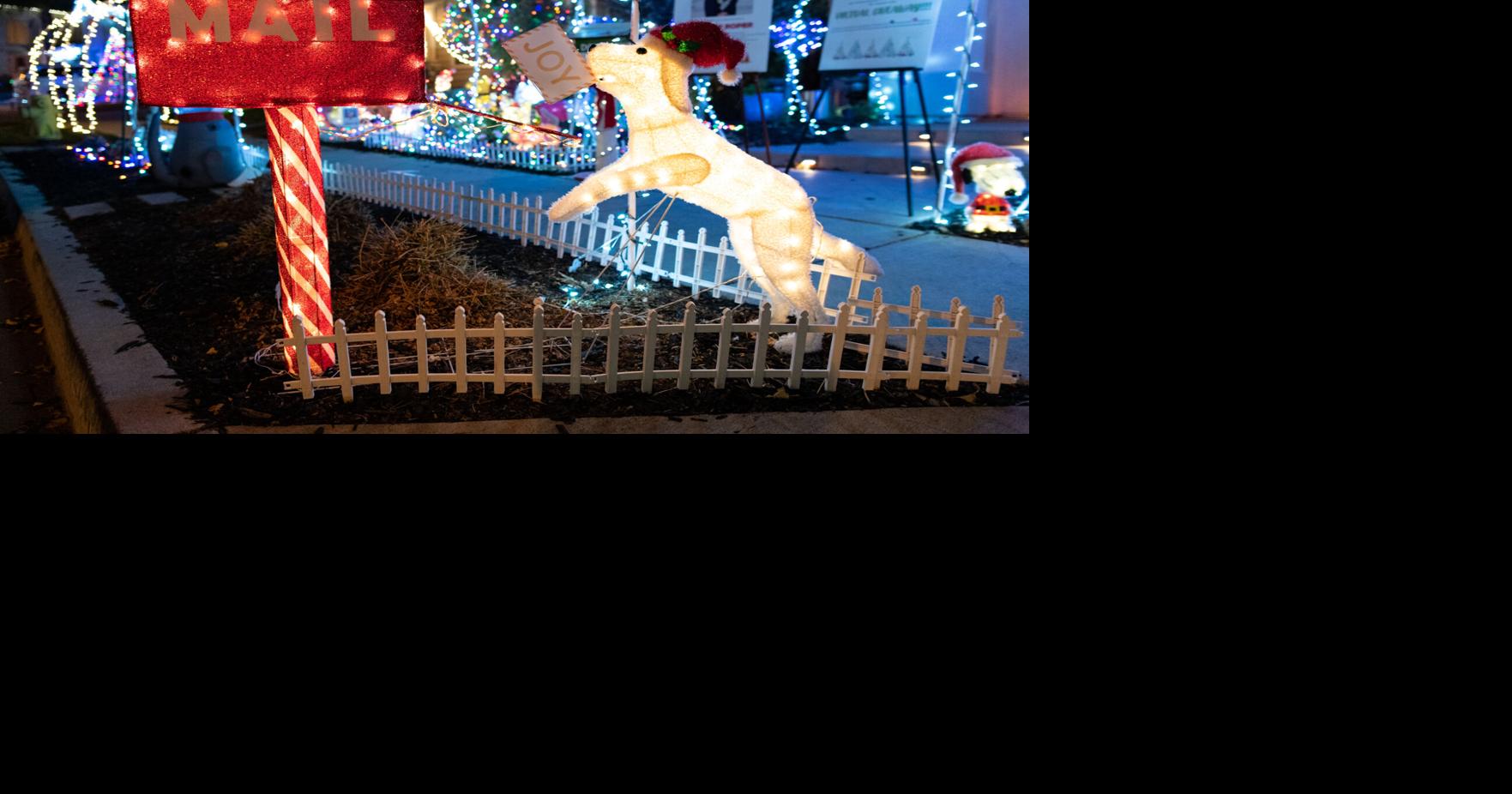 [Photos] Tunnels of Joy Christmas lights Slideshows