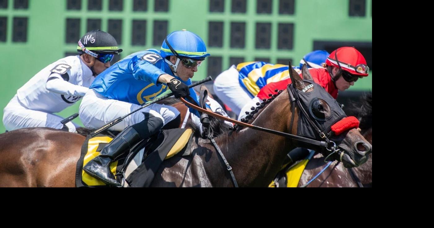 Gotham Stakes 2025 predictions, horses, odds, field Surprising picks from expert who nailed