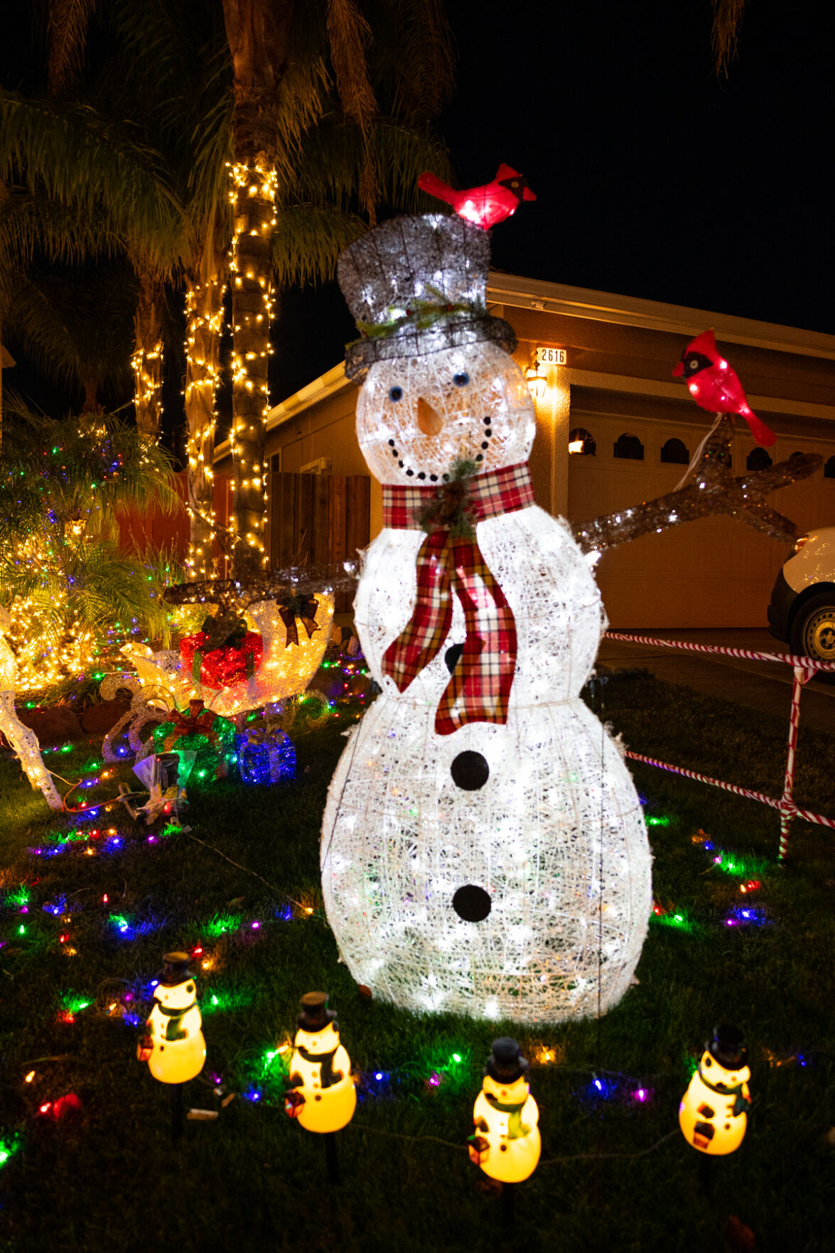 [Photos] Tunnels of Joy Christmas lights Slideshows