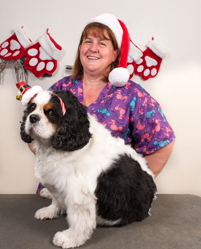 hairy hounds grooming