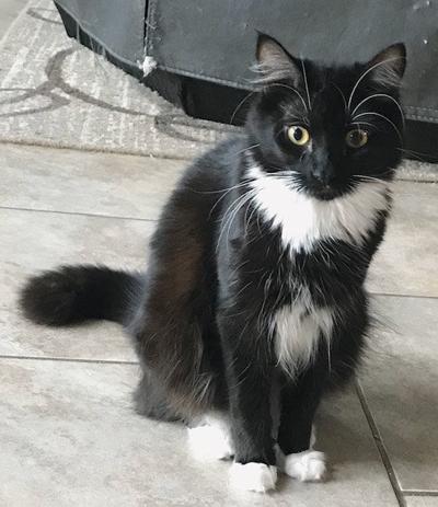 RP Adopt Sonia