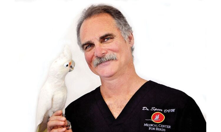 Animal and bird medical 2024 center