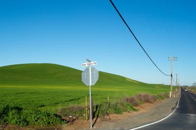 Brentwood Urban Limit Line