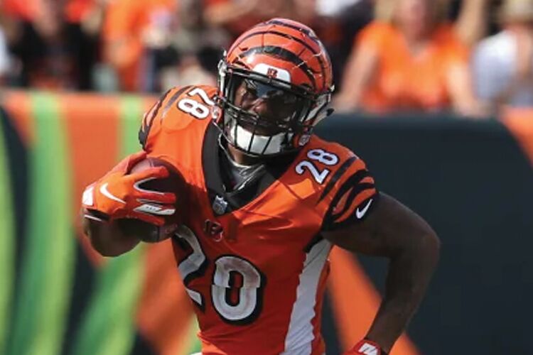 Bengals Mixon: 'We see the Super Bowl window'