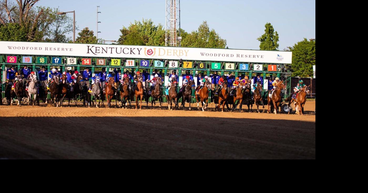 Commandment profile: 2026 Kentucky Derby odds, post position, history ...