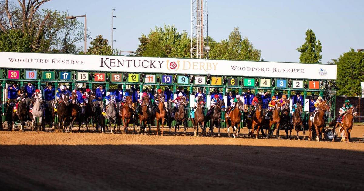 Commandment Derby Commandment profile: 2026 Kentucky Derby odds, post position, history ...