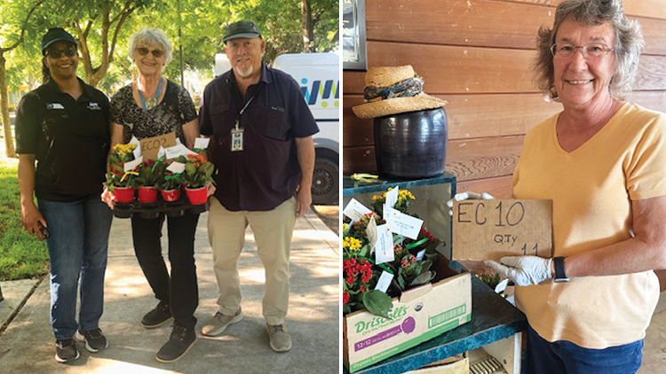 A gift of positivity and resilience for the Brentwood Senior Center from the Discovery Bay Garden Club
