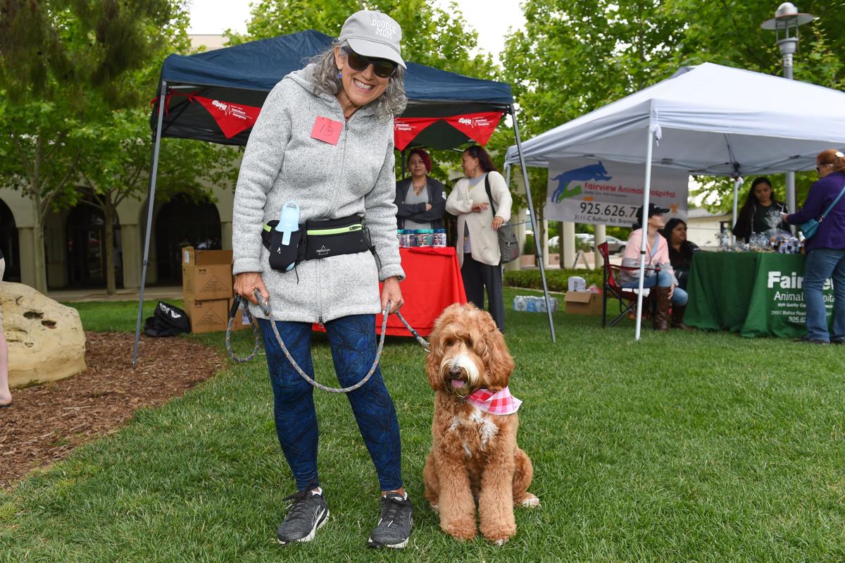 [Photos] 2019 Bark in the Park Slideshows