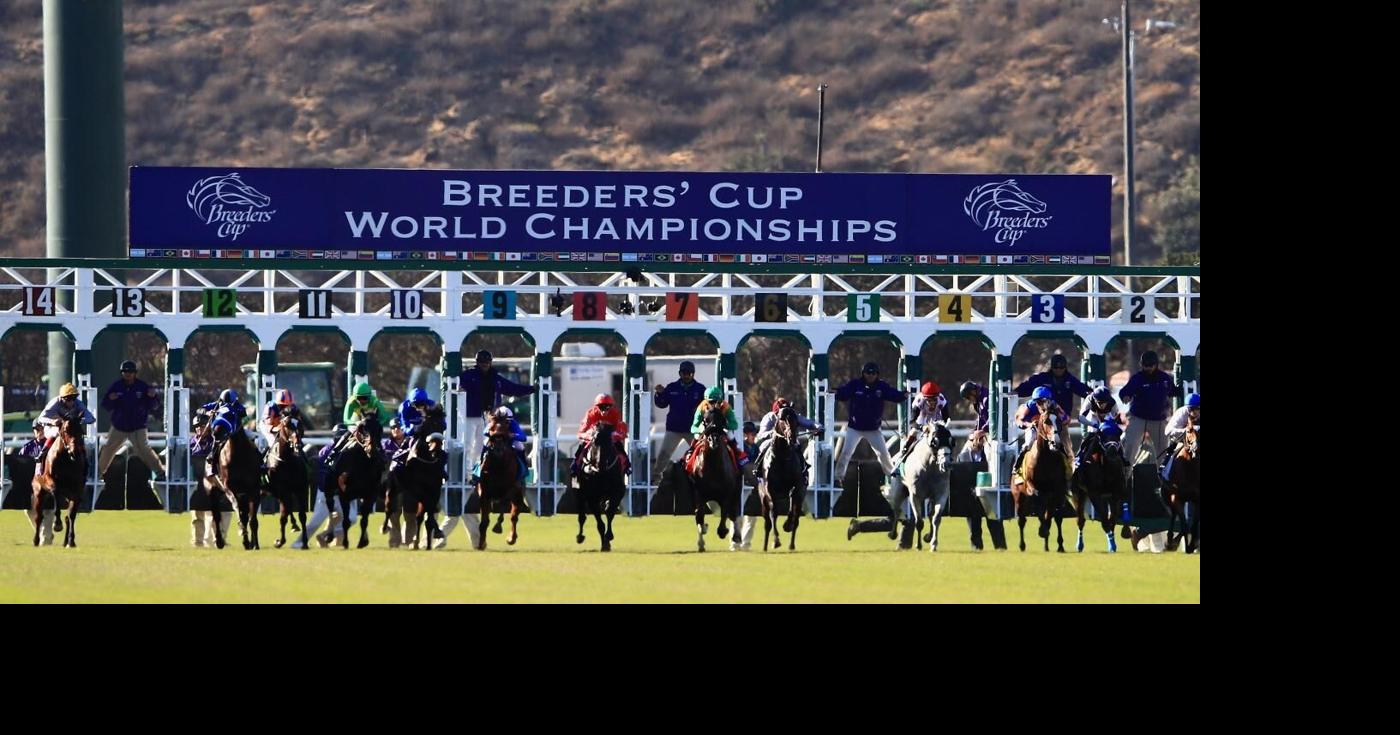 Where to watch 2024 Breeders' Cup Start time, odds, live stream