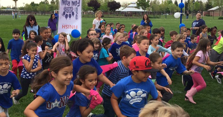 Bulldog Fun Run Reaches New Heights With Climbing Wall Features Thepress Net Bulldog Fun Run Reaches New Heights With Climbing Wall Features Thepress Net