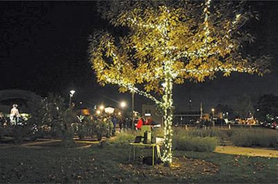 Hoe East Bay Tree Of Lights Ceremony News Thepress Hoe East Bay Tree Of Lights Ceremony News Thepress