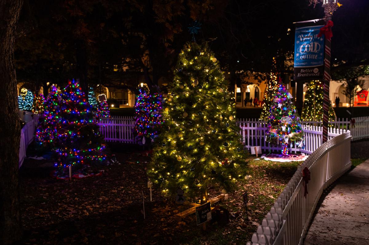 A Winter Wonderland In Brentwood S City Park Holiday Guide