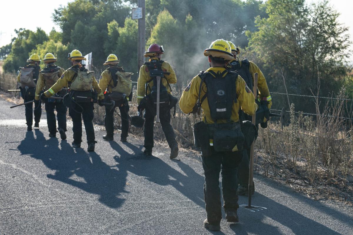 Winddriven fire burns 75 acres along Holland Tract Road News
