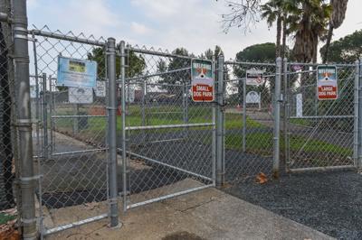 Dog park