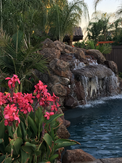Creating A Yard That Rocks Living Thepress Net