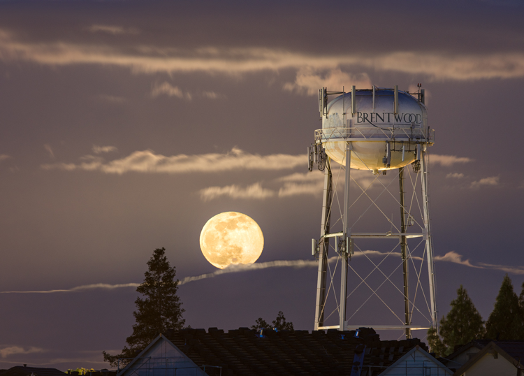When the moon hits your eye… | Features | thepress.net