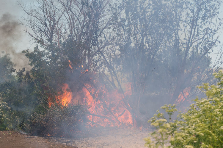 Vegetation fire burns near Knightsen News