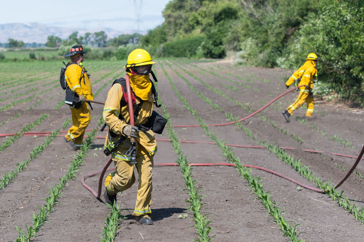 Vegetation fire burns near Knightsen News