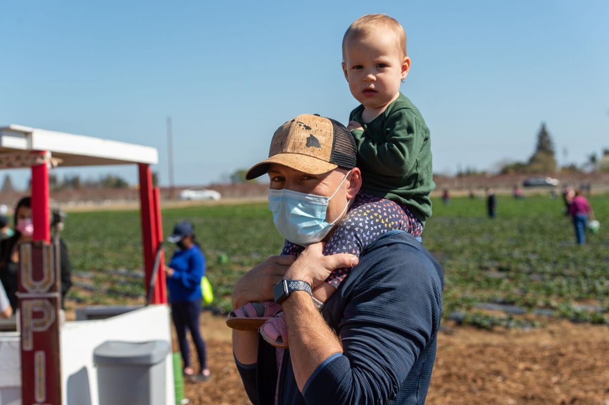 09_U-pick strawberries_20210313.jpg