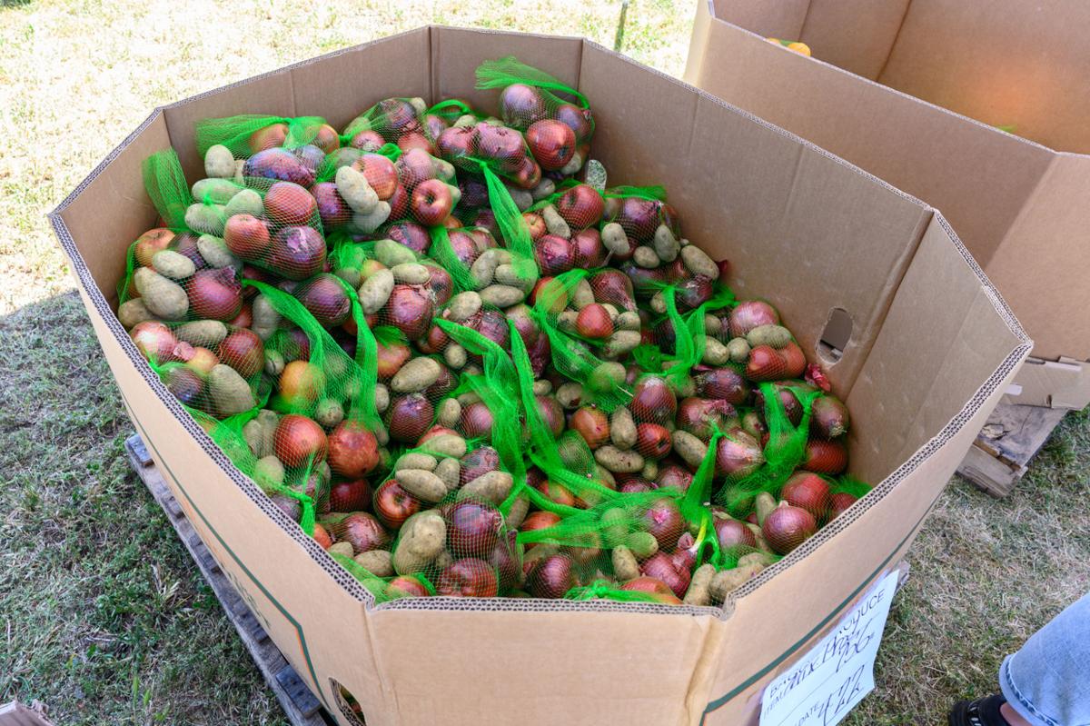 Brentwood food distribution