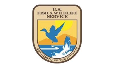 Bird nests  U.S. Fish & Wildlife Service