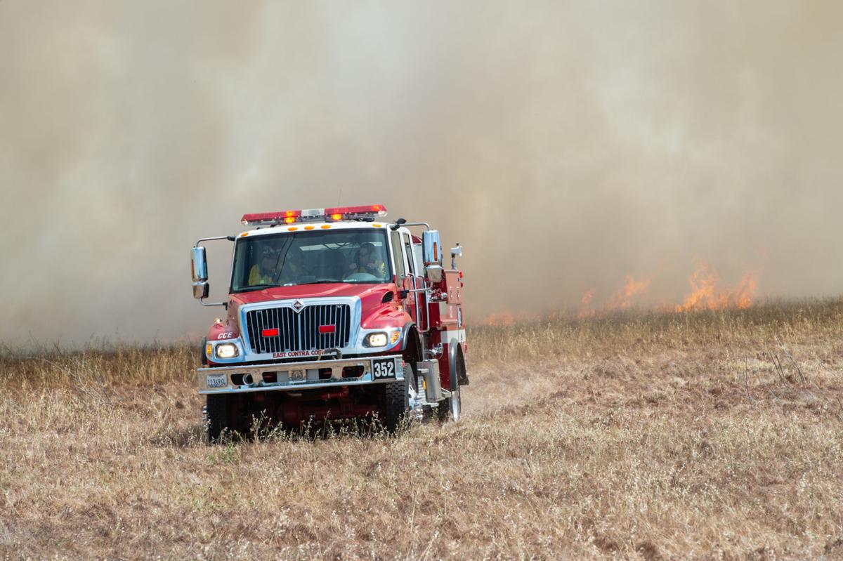 Byron vegetation fire