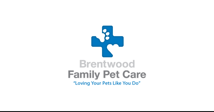 Family pet care clinic cheap