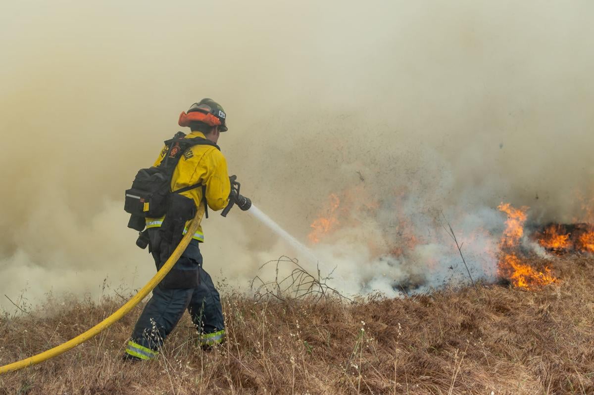 Byron vegetation fire
