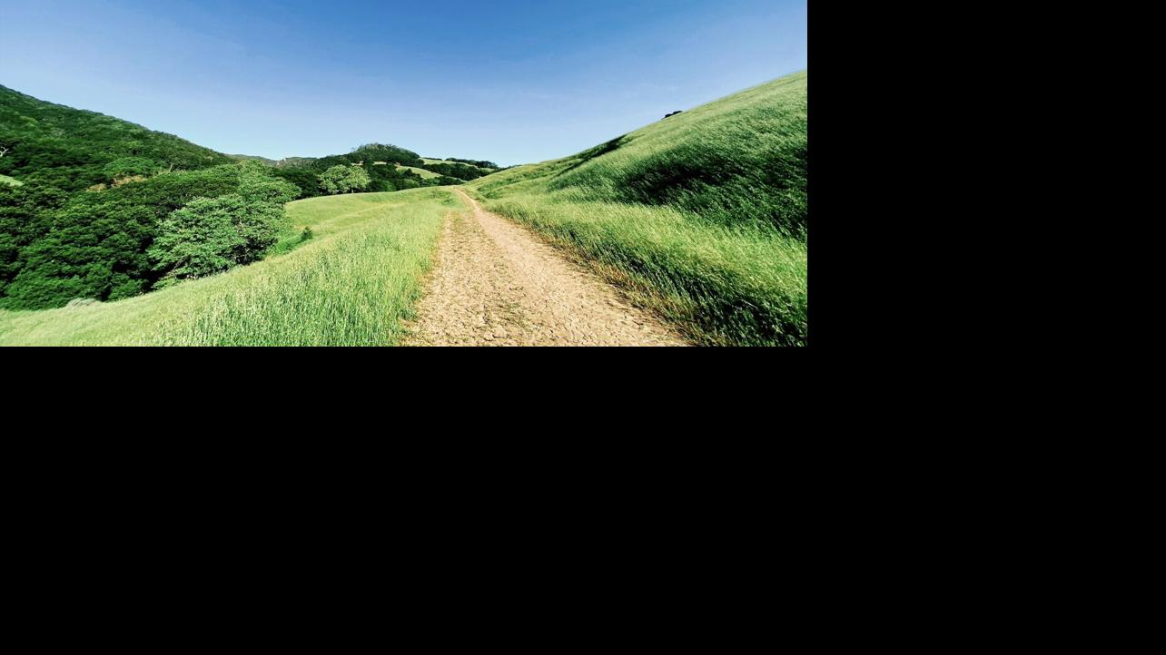 thepress.net | Your hometown source for news, sports, and ...