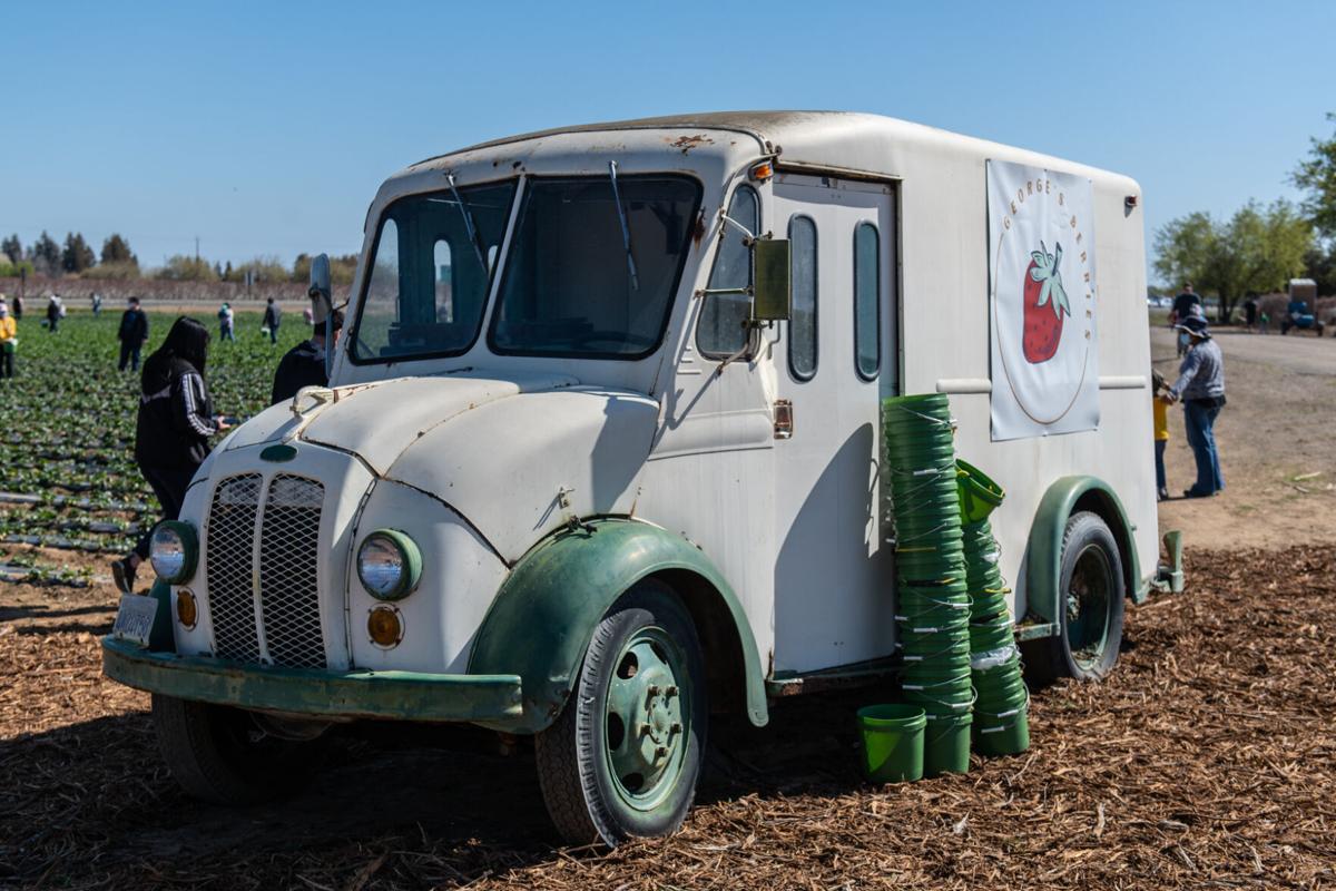 16_U-pick strawberries_20210313.jpg