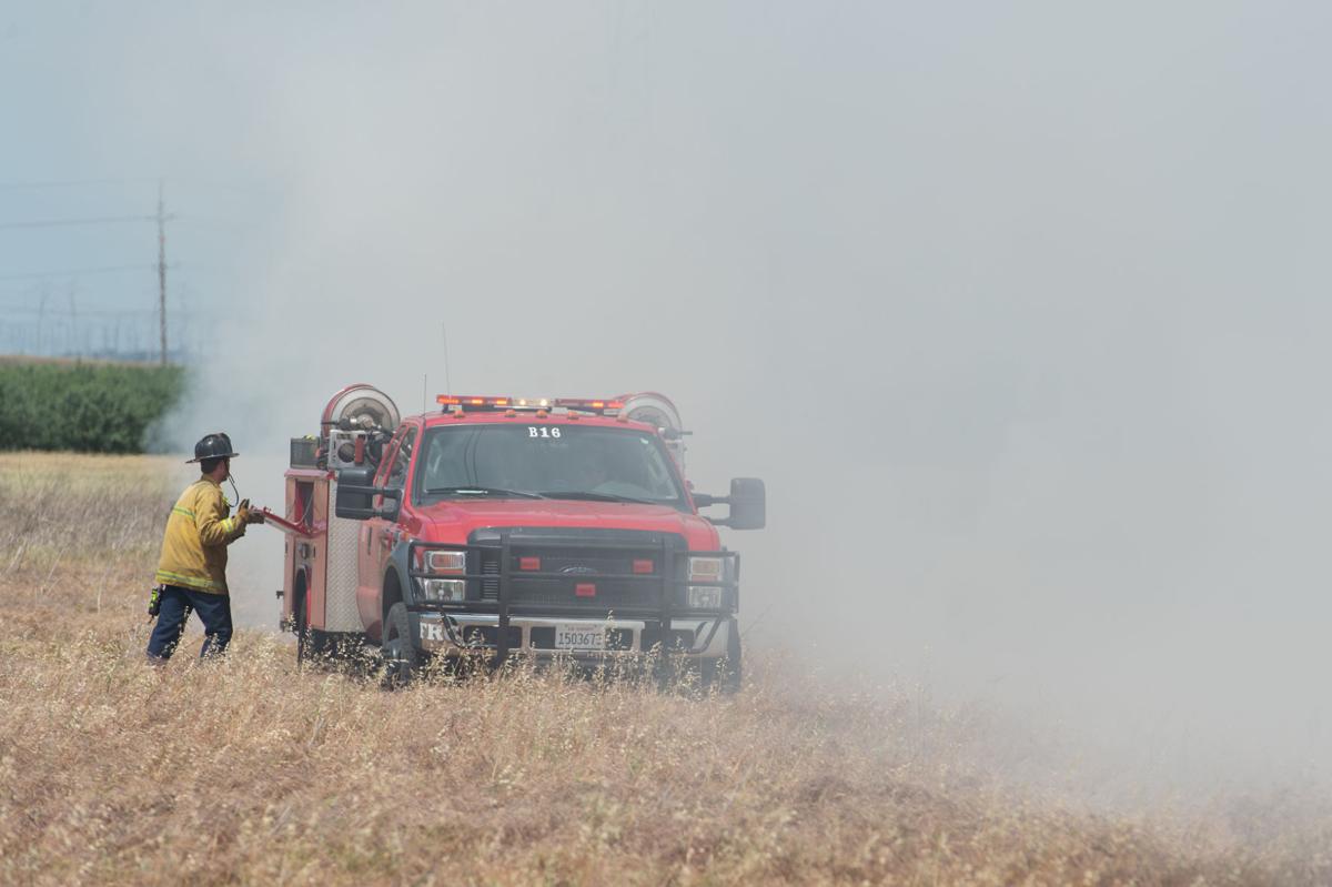 Byron vegetation fire