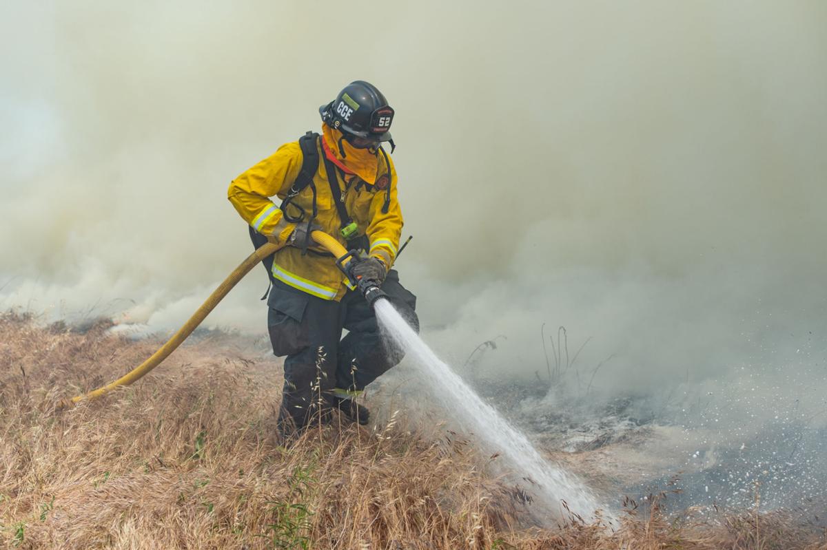 Byron vegetation fire